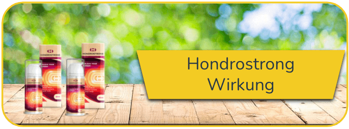 Hondrostrong Wirkung